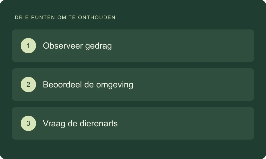 Oorspronkelijk beeld bij dit artikel